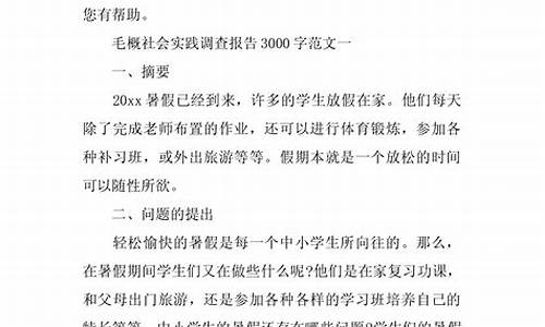 实践论文3000字_毕业实践论文3000字