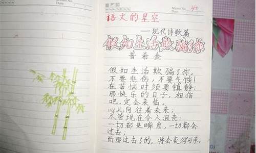 小学教师读书笔记