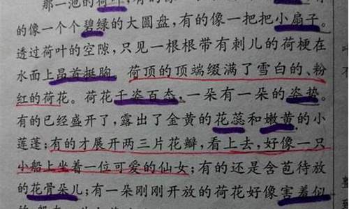 优美散文片段摘抄_优美散文片段摘抄300字左右