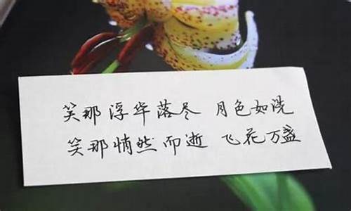 卡片情话最暖心一段话_卡片情话最暖心一段话20个字